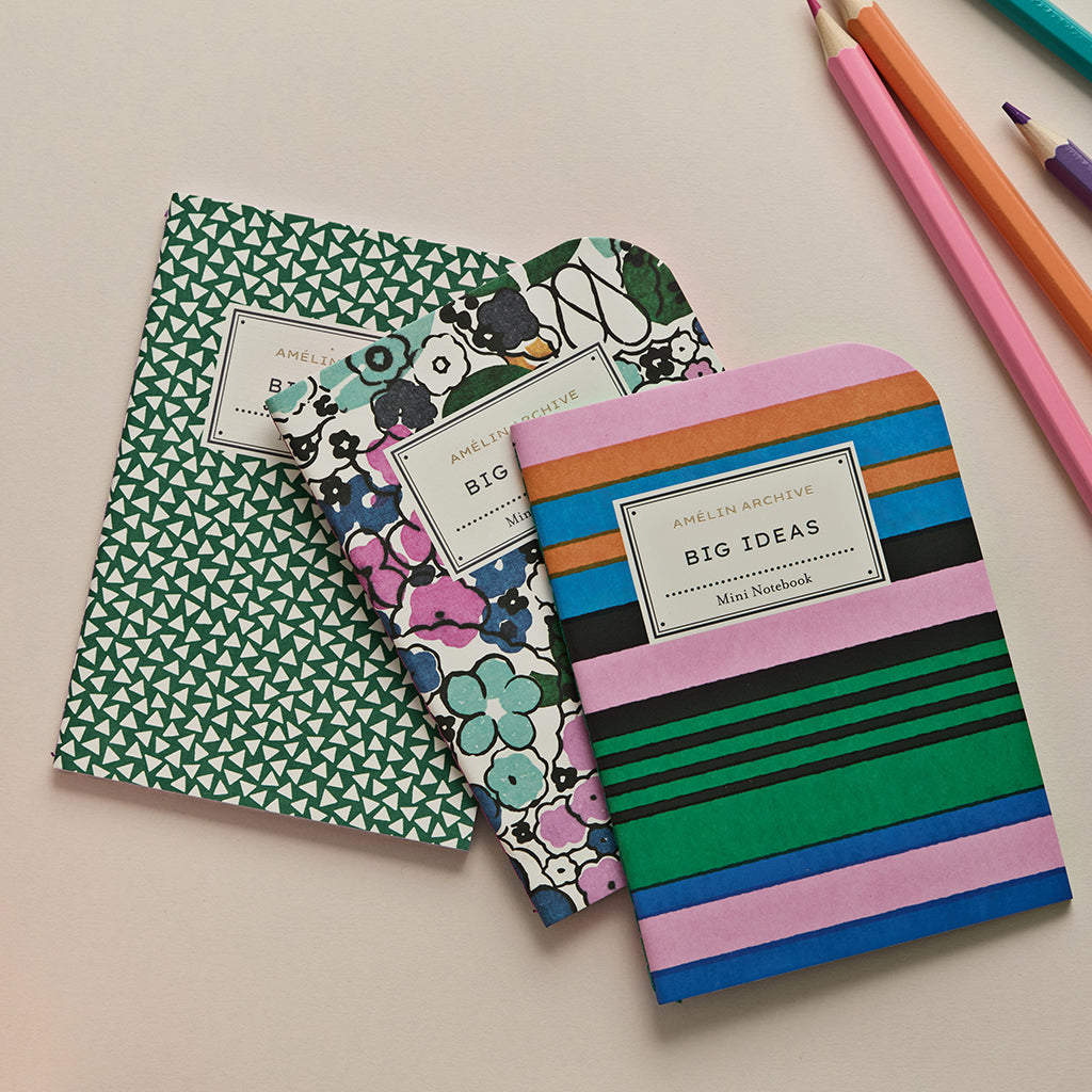 Big Ideas- Set of Three Mini Notebooks