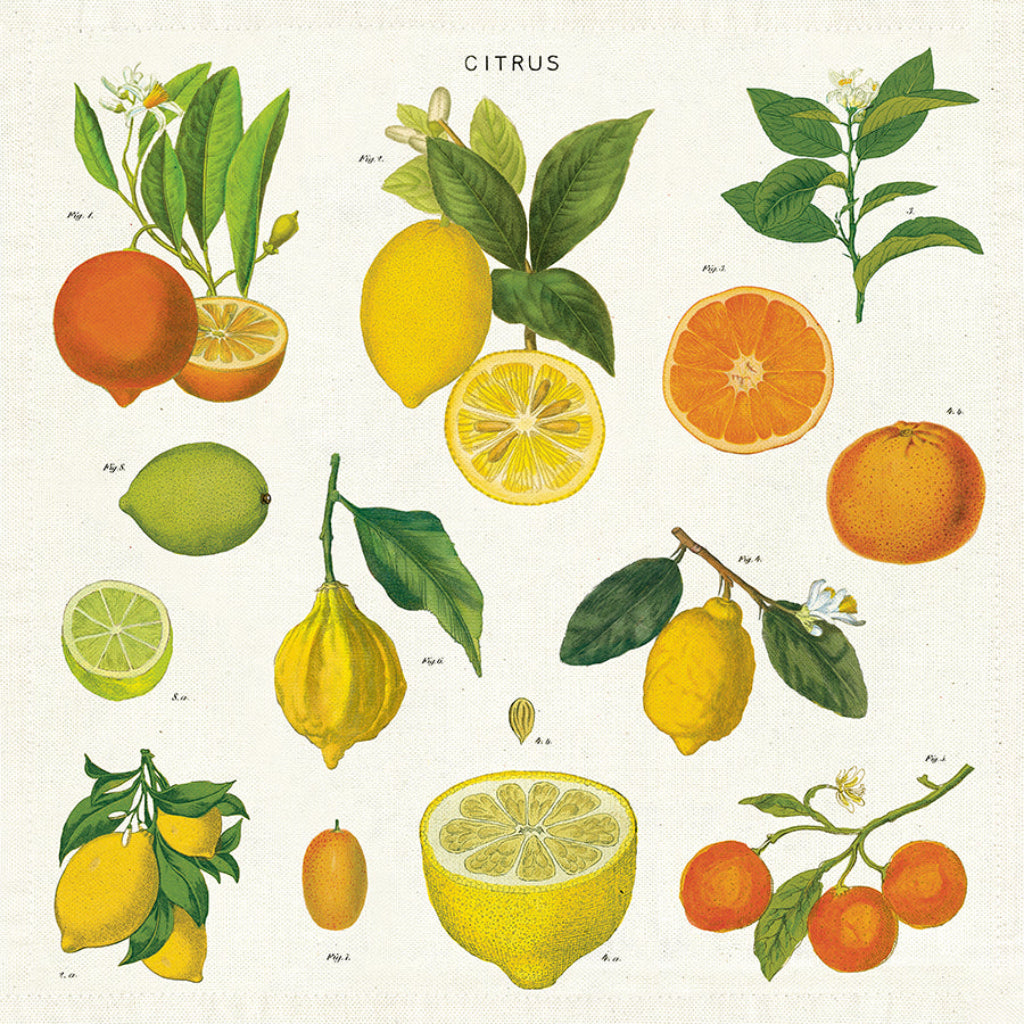 Citrus Napkin