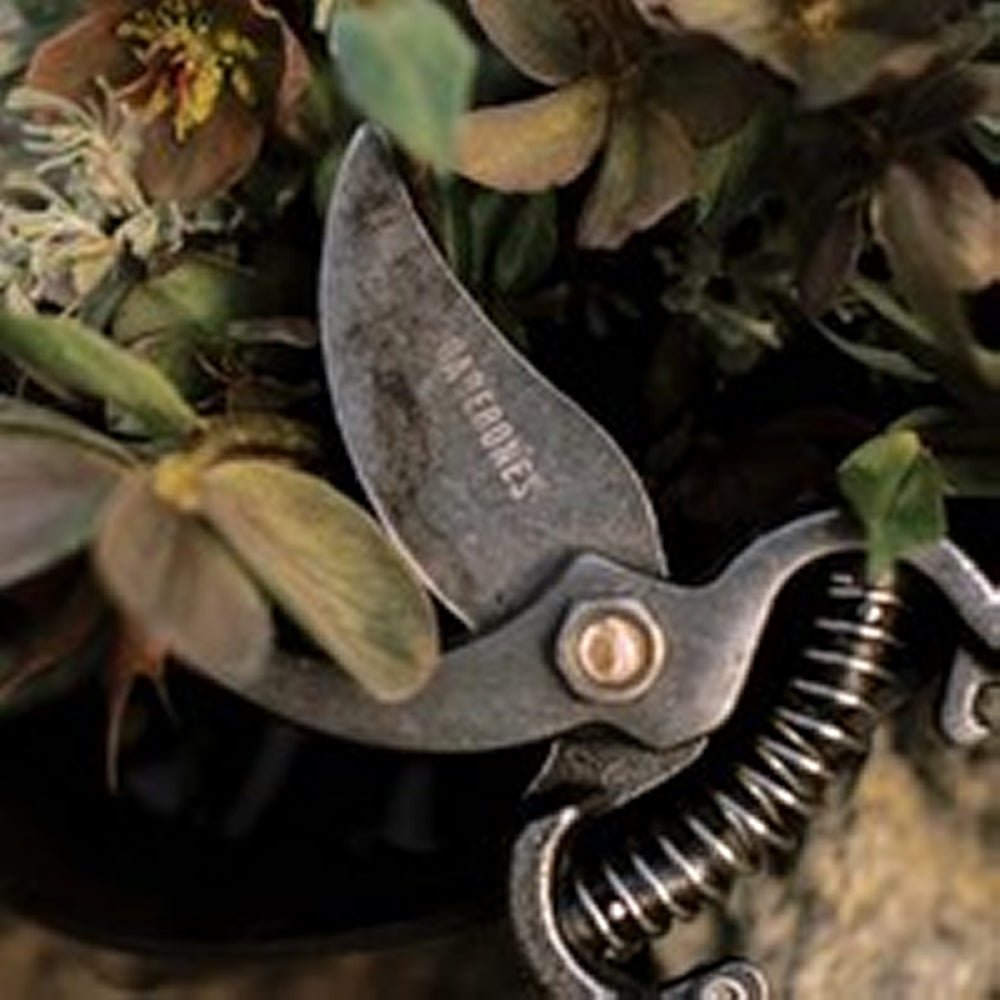 Pruner With Sheath - Life of Riley