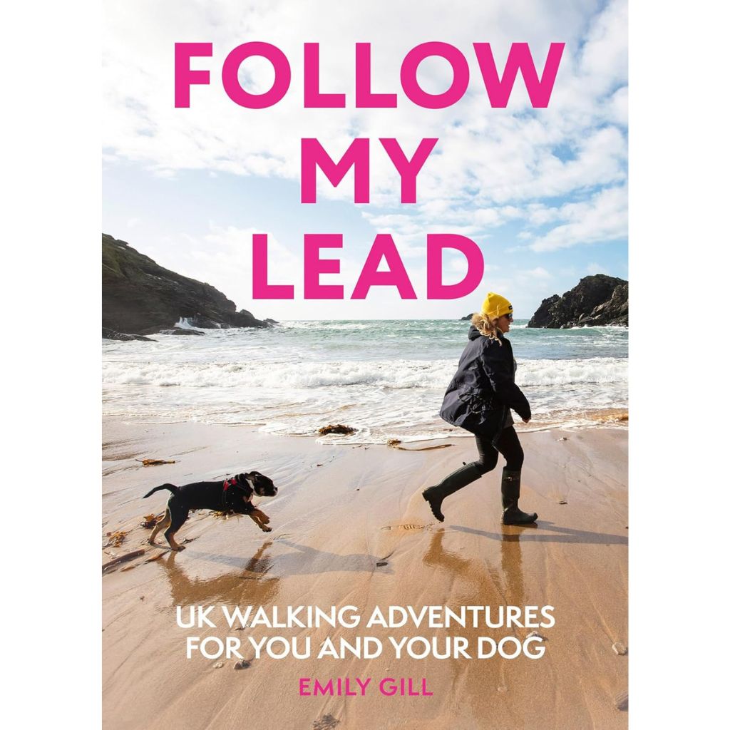 Book cover of 'Follow My Lead' by Emily Gill featuring a person and dog on a beach.