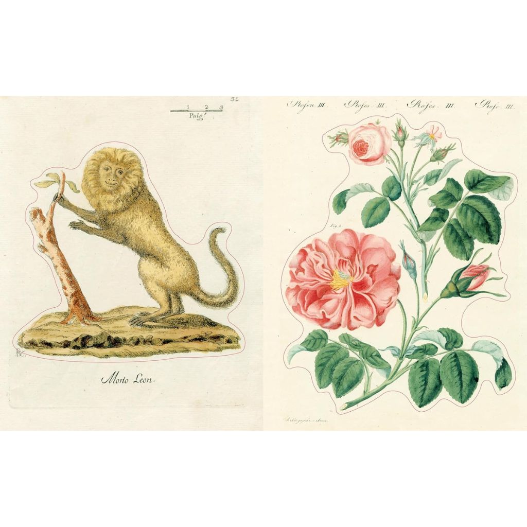 Sticker Book - John Derian