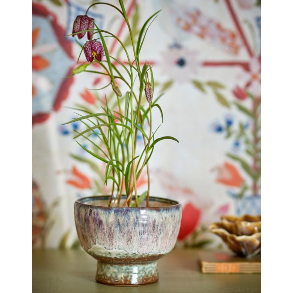 Potted plant with purple flowers in a decorative pot on a colourful background