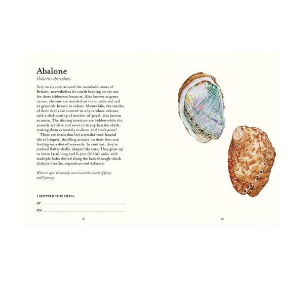Shell Spotters Guide (National Trust) Book
