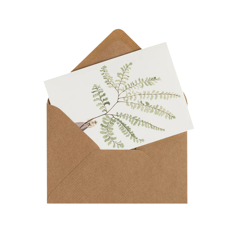 Fabulous fern notecard part of a set of 8 showing the kraft brown envelope 
