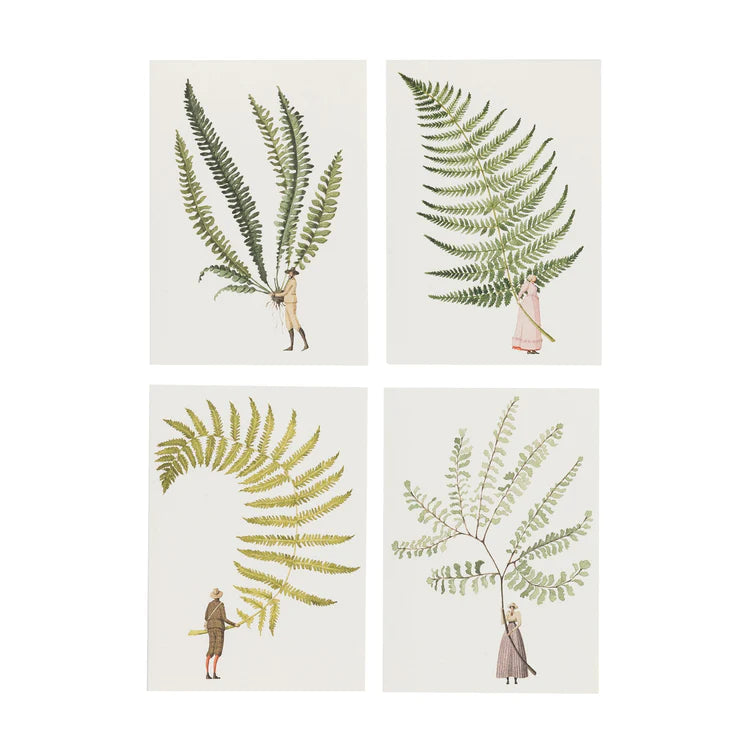 Fabulous ferns set of note cards designed by Laura Stoddart, 2  of each design