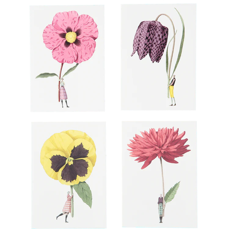 Style 2 notecards set, 2 each of 4 designs including  Cistus, Fritillary, Pansy and Red Dahlia
